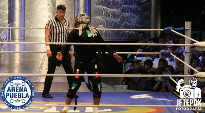 WhatsApp Image 2025 09 17 At 12.42.26 PM