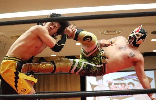 Black Avalon Puroresu