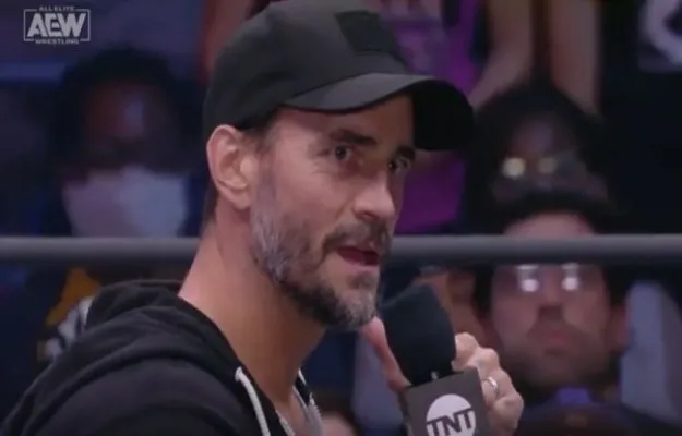 CM Punk Hulk Hogan
