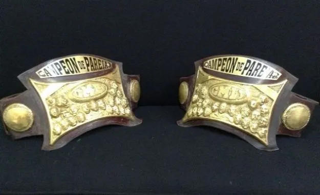 Campeonato de Parejas de la Arena Coliseo