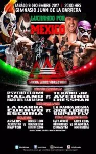 Cartel #LuchandoPorMéxico