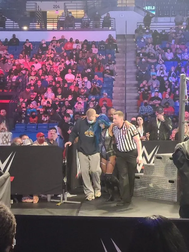 Sasha Banks informa sobre su posible lesión