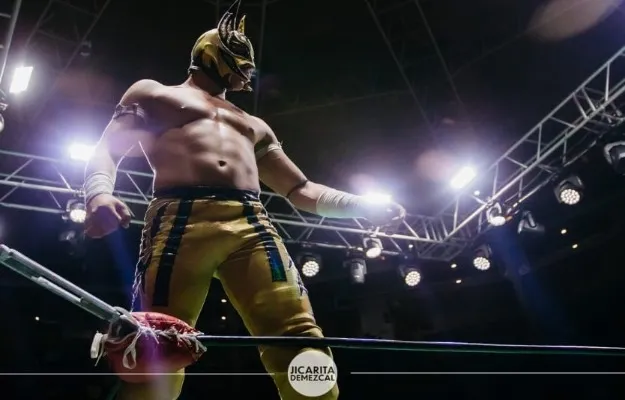 Fallece Príncipe Aéreo Fallece Príncipe Aéreo tras participar en una función