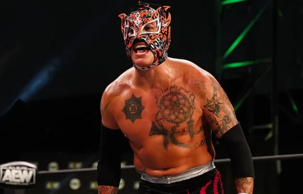 Fenix AEW Fenix AEW