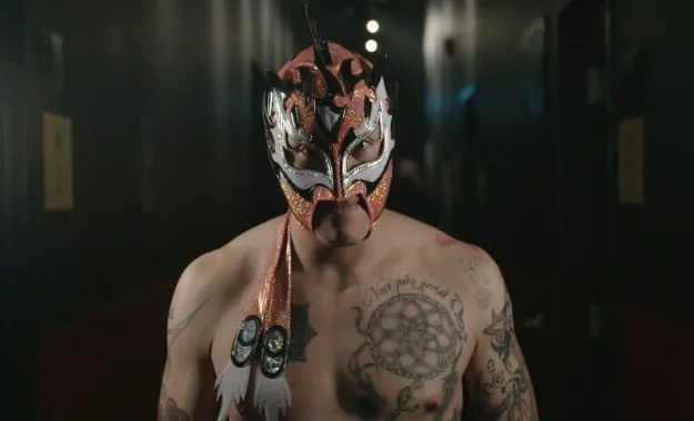 Fenix lesionado Fenix lesionado