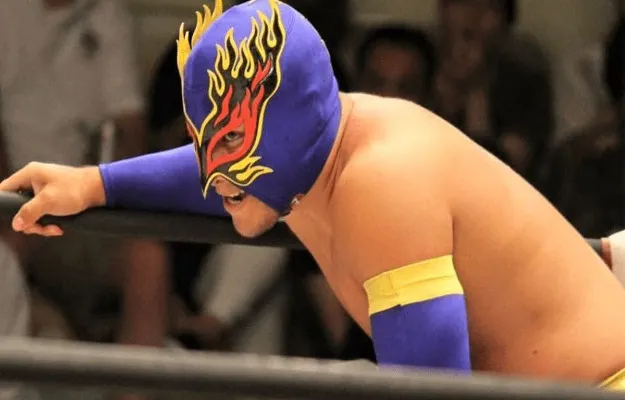 Flamita ROH Flamita ROH