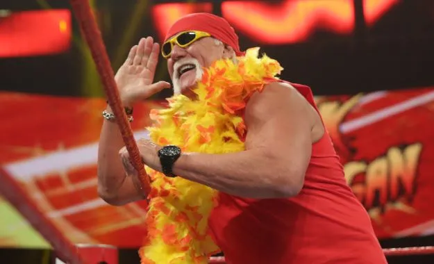 Hulk Hogan Hulk Hogan 13