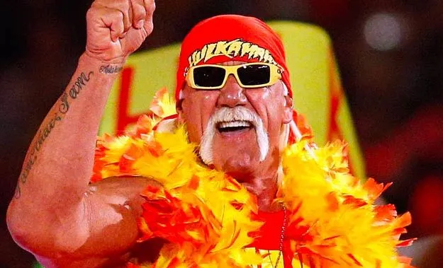Hulk Hogan WWE