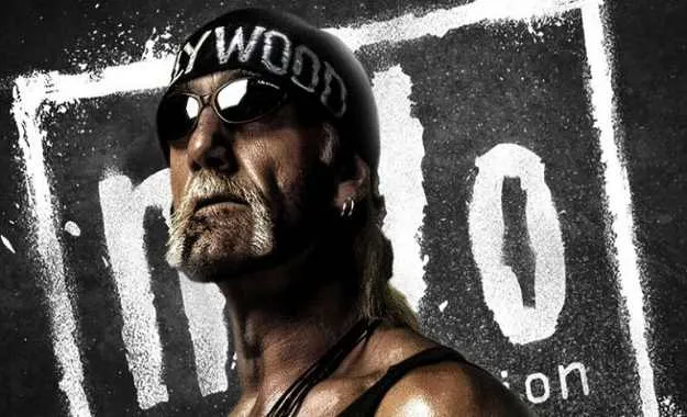 Hulk Hogan NWO Hulk Hogan NWO
