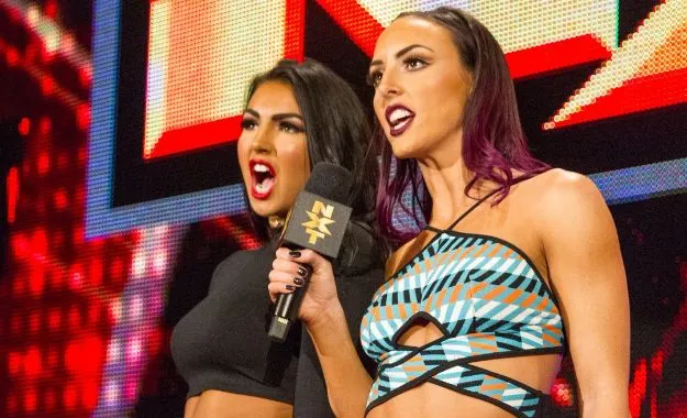 campeonatos de parejas femeninos en Summerslam campeonatos de parejas femeninos en Summerslam