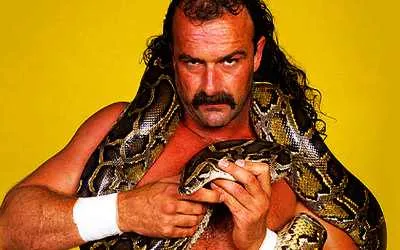 Jake The Snake Roberts Jake