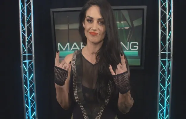 Kaitlyn estará presente en la WWE RAW Reunion de este lunes