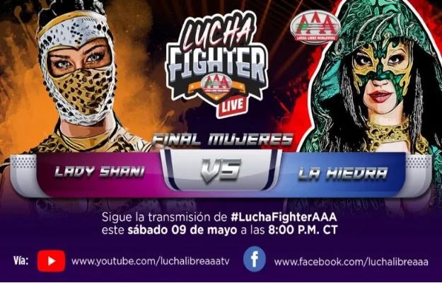 Listos los finalistas de Lucha Fighter