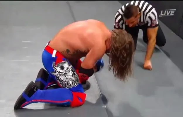 Luchador WWE Royal Rumble