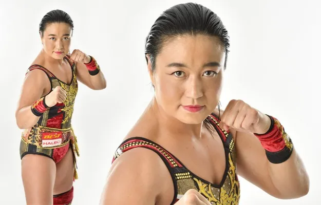 Meiko Satomura WWE Meiko Satomura WWE