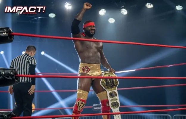 Moose Impact Moose Impact