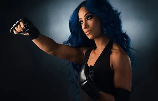 Sasha Banks Evolution Sasha Banks