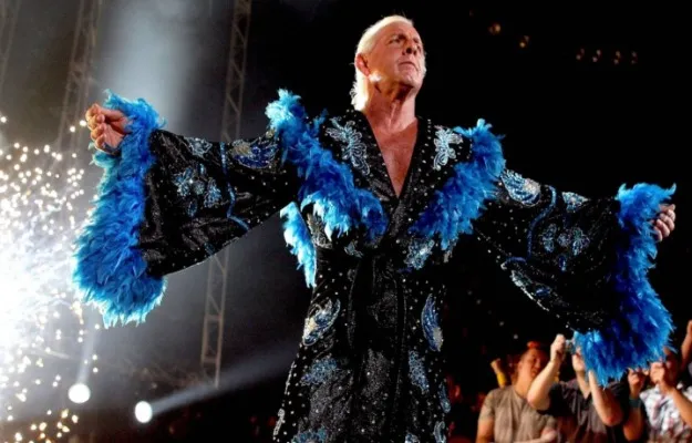 WWE RIC FLAIR WWE RIC FLAIR