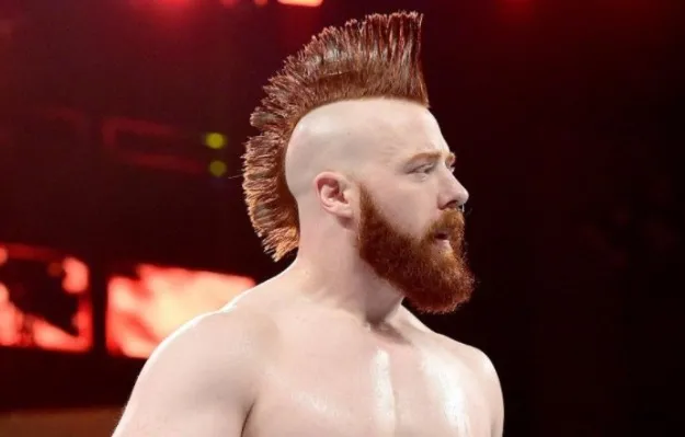 Sheamus y The Usos