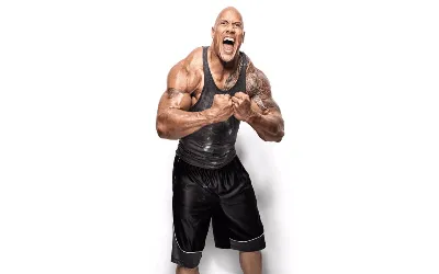 The Rock The Rock WWE