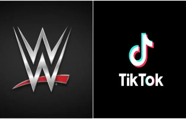 WWE presentador WWE presentador