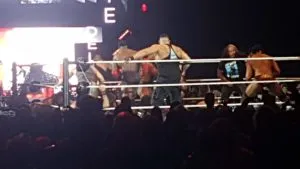 WhatsApp Image 2018 11 04 At 19.30.39