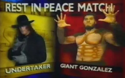 Historia de SummerSlam 1993