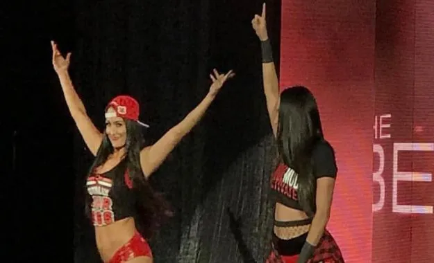 The Bella Twins return