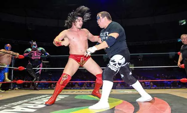 Image 2019 01 14 Min