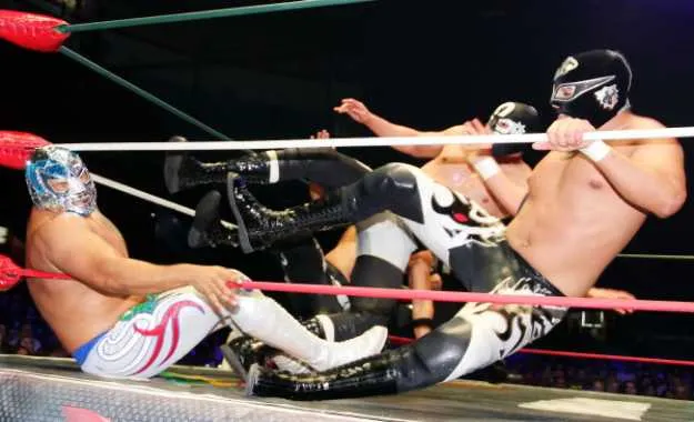 Image 2019 02 15 Min