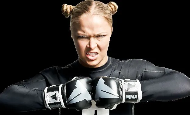 WWE noticias turn heel