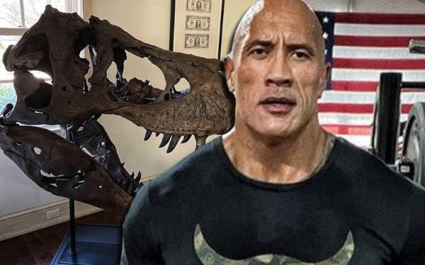 ¿Tiene The Rock una cabeza real de T-Rex en casa?